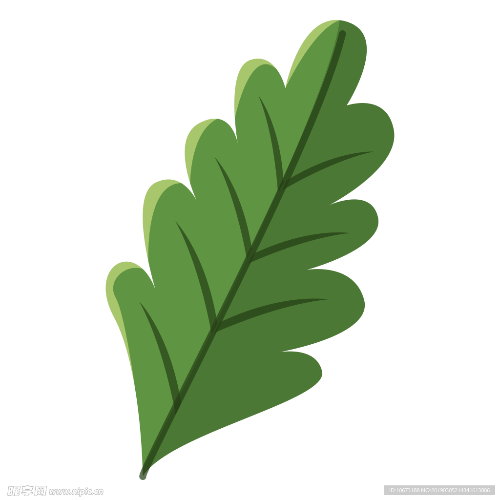 水彩植物图片