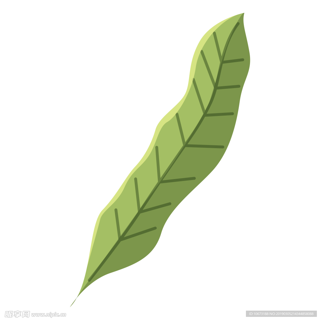 水彩植物图片