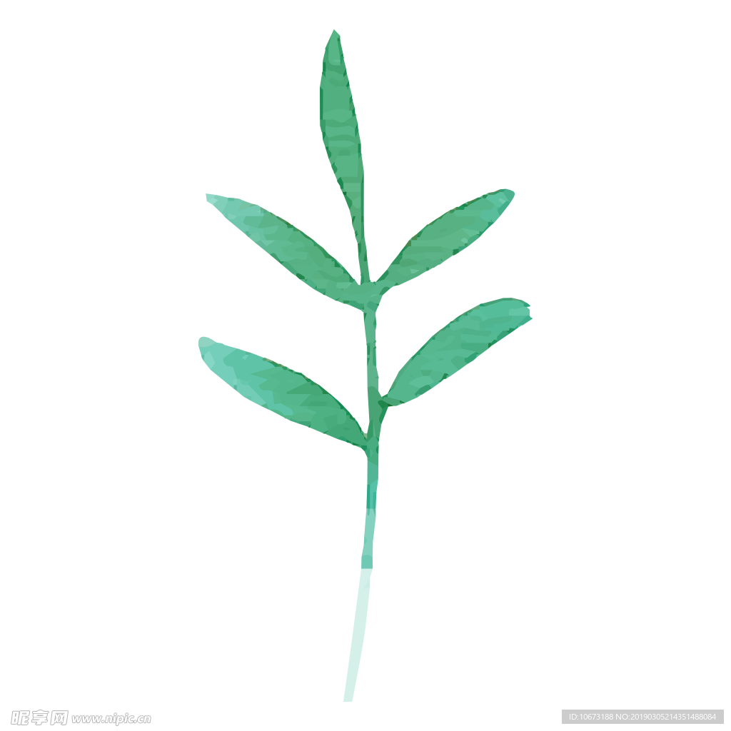水彩植物图片