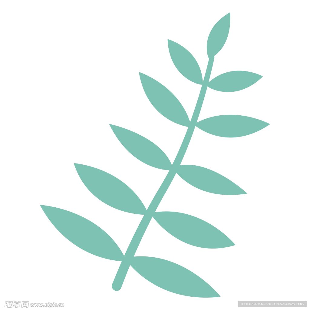 水彩植物图片