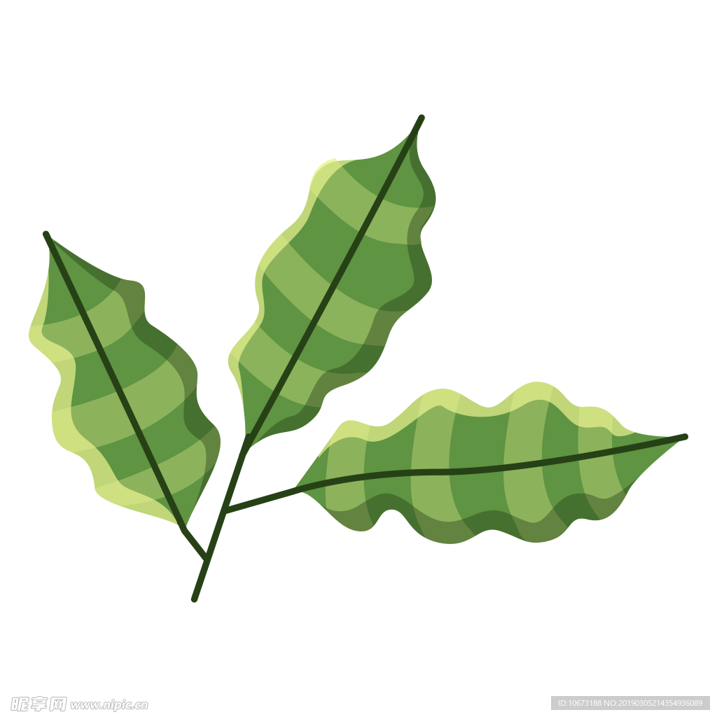 水彩植物图片