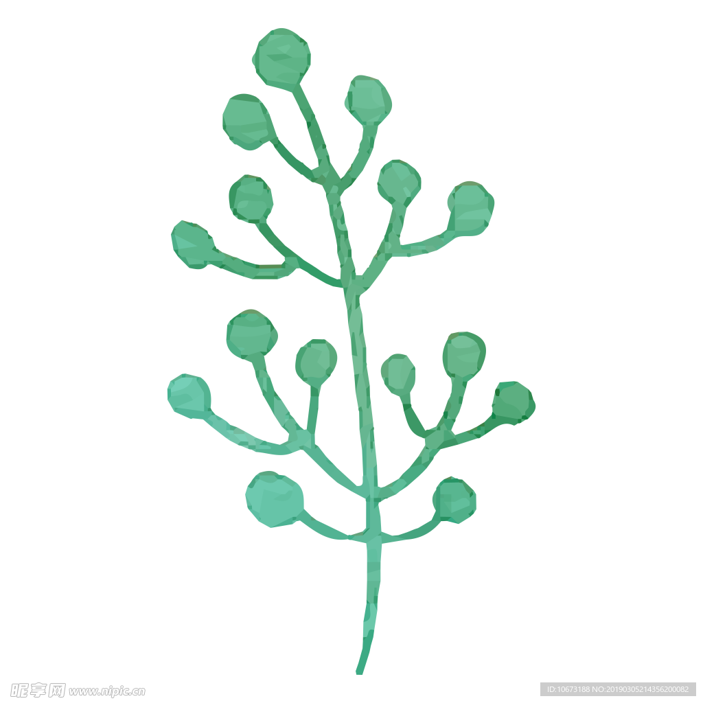 水彩植物图片