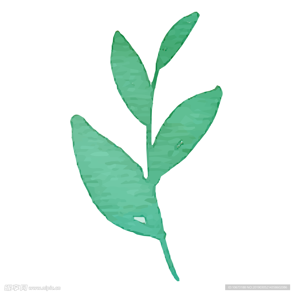 水彩植物图片