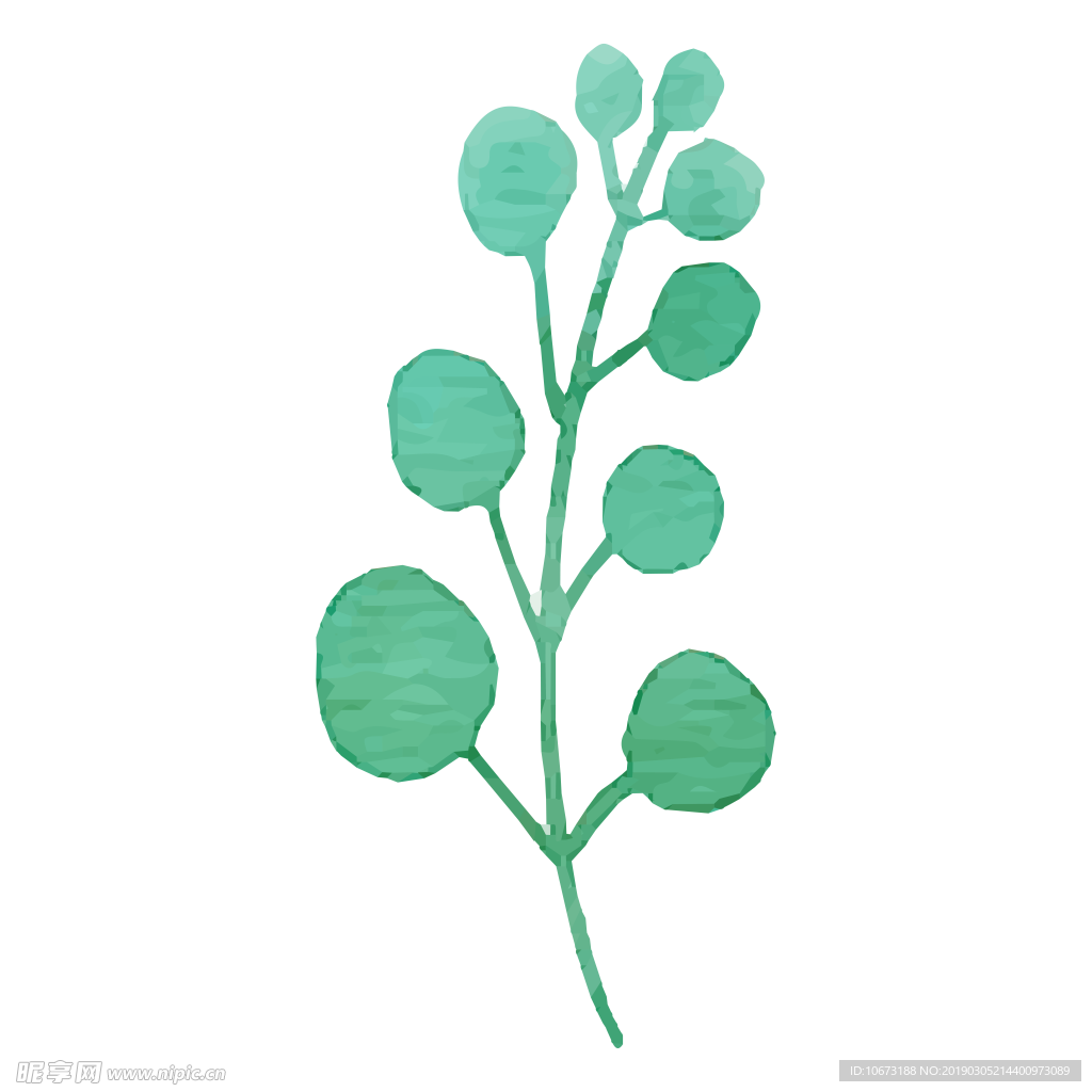 水彩植物图片
