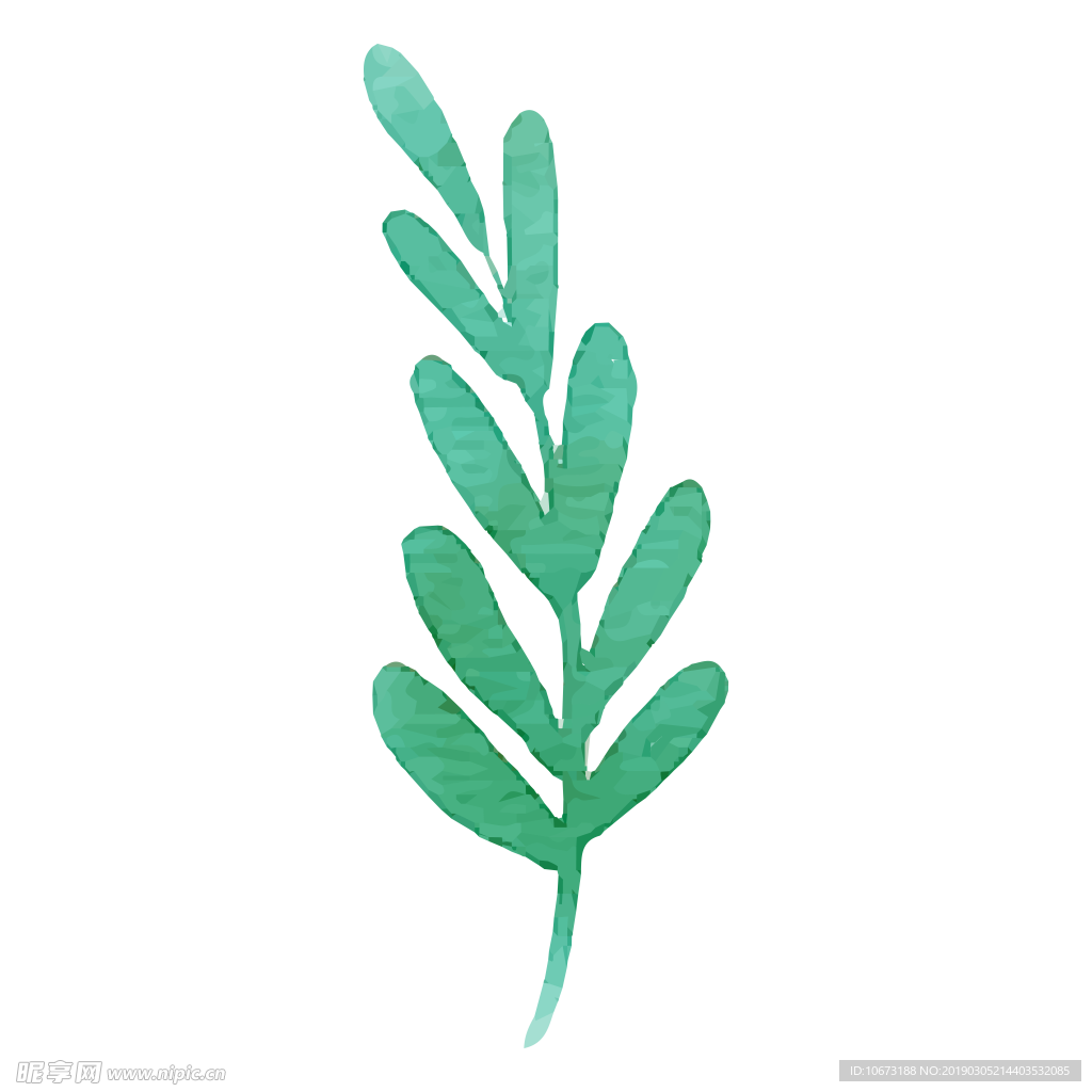 水彩植物图片