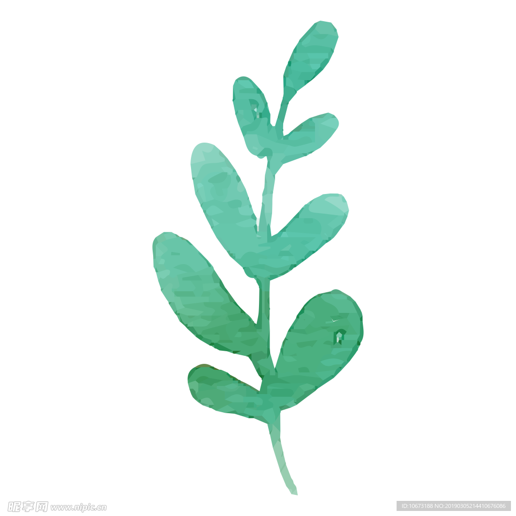 水彩植物图片