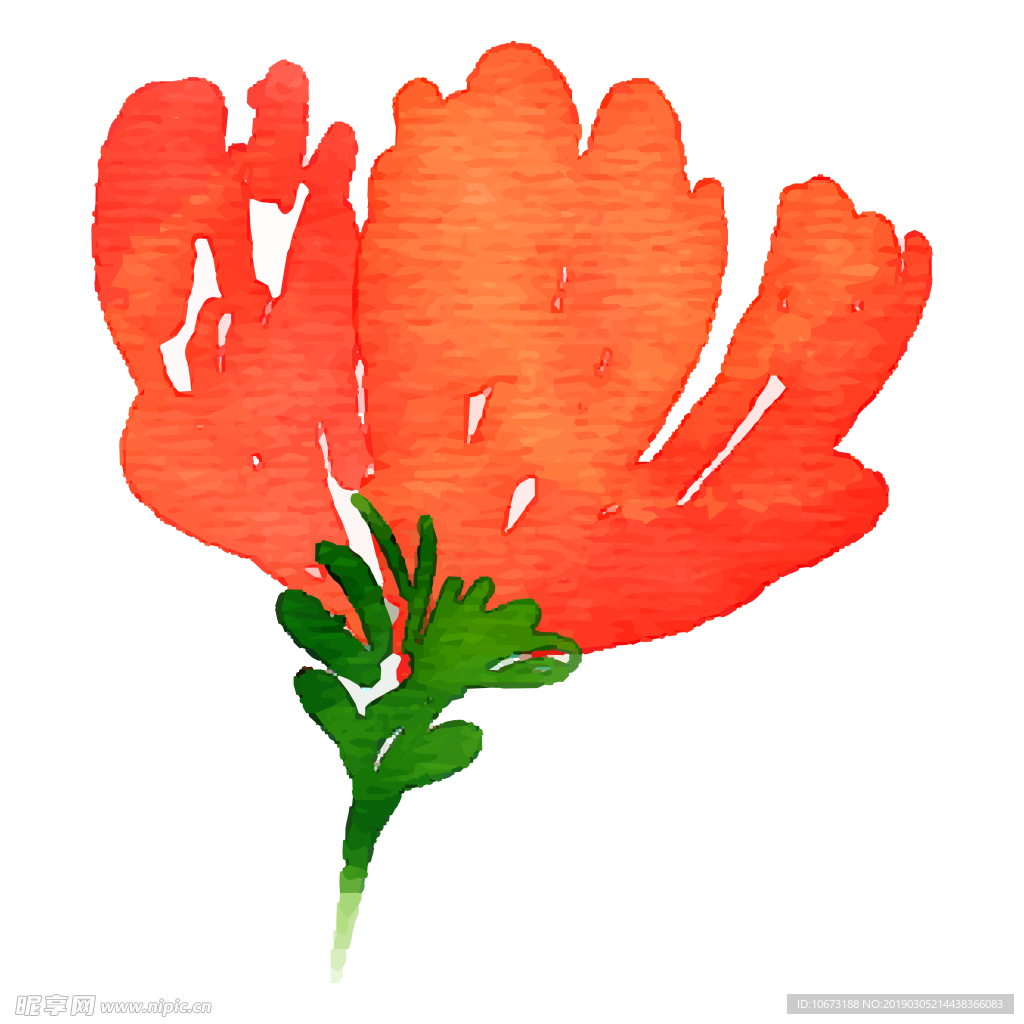 水彩植物图片