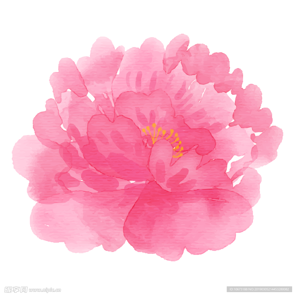 水彩植物图片