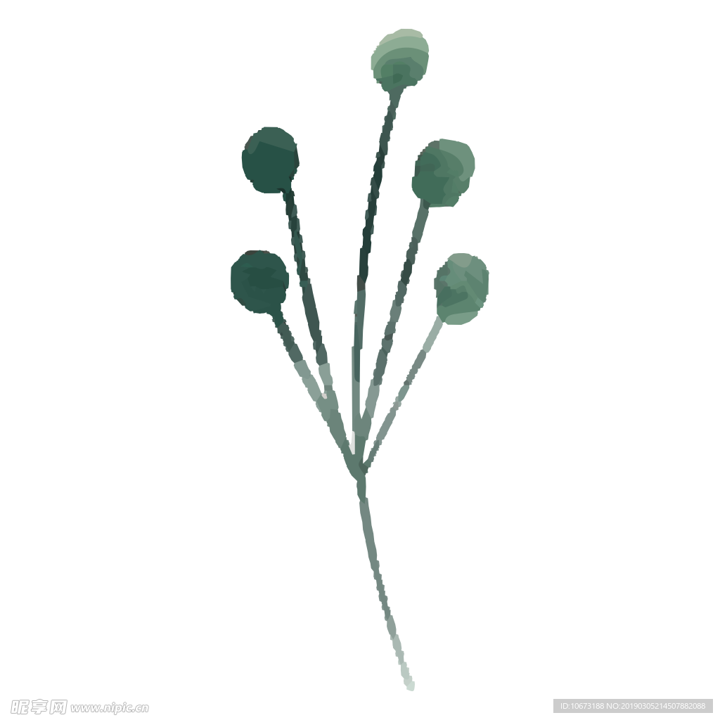 水彩植物图片