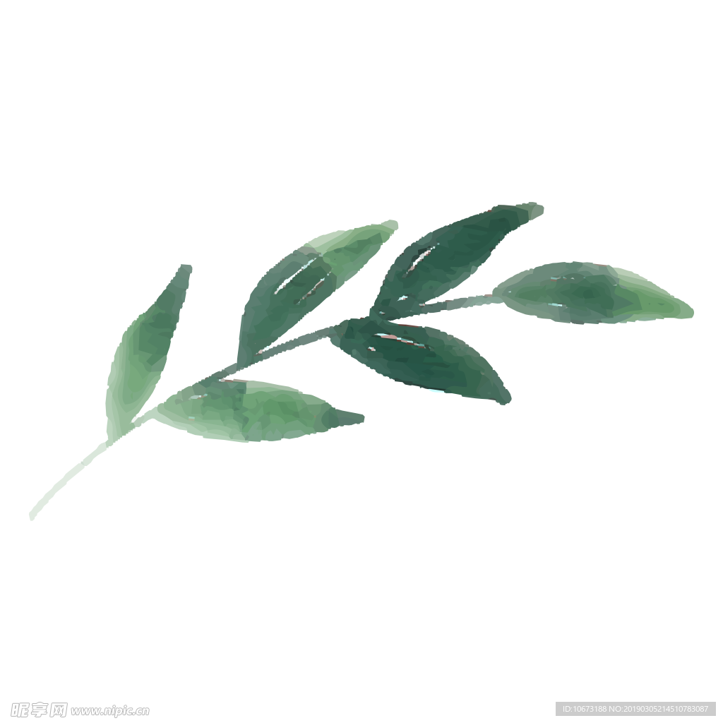水彩植物图片