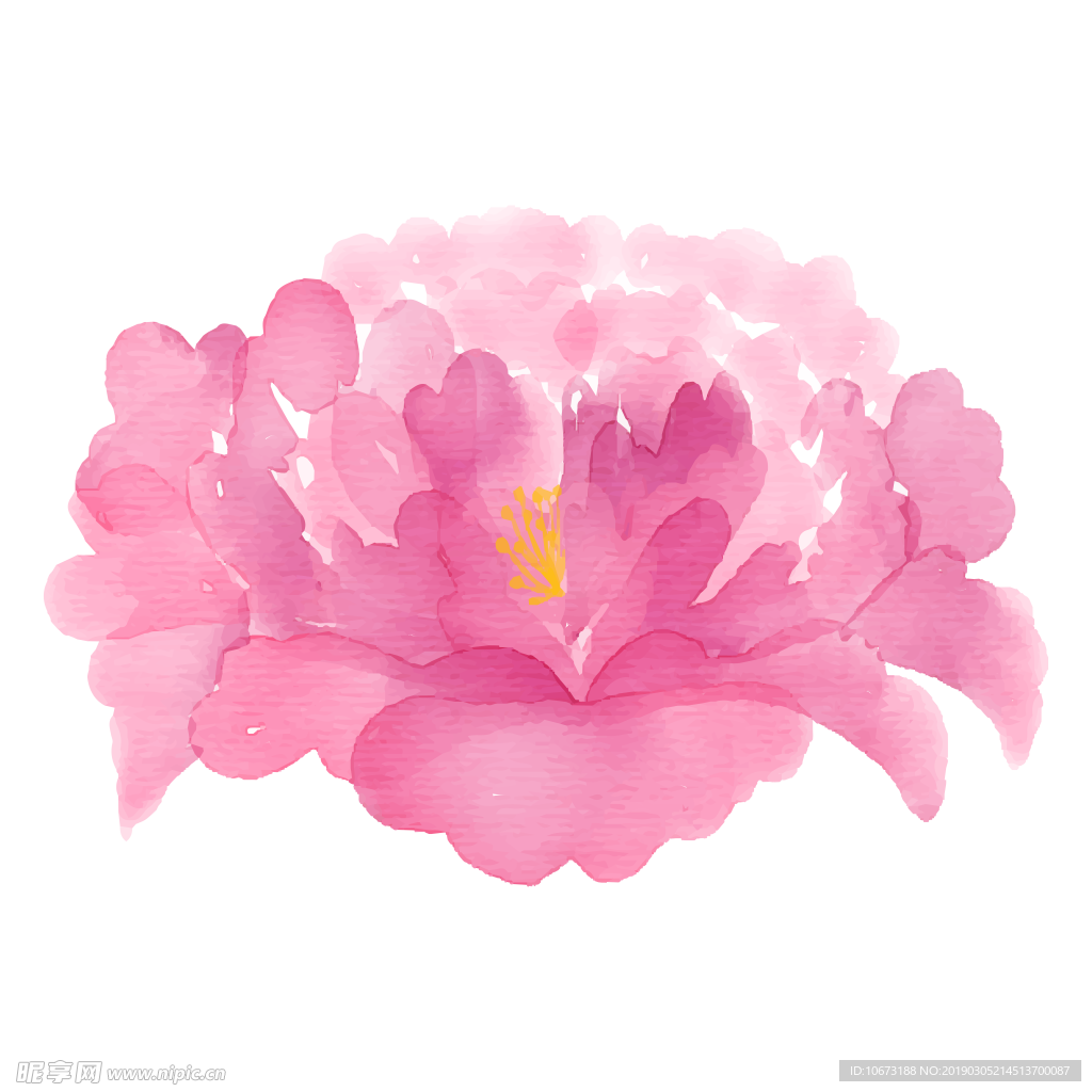 水彩植物图片
