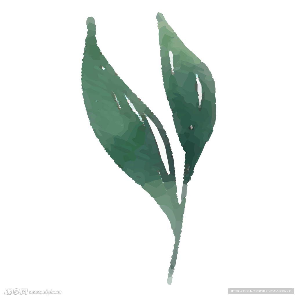 水彩植物图片