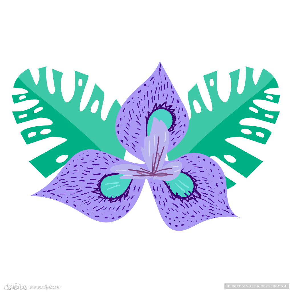 水彩植物图片