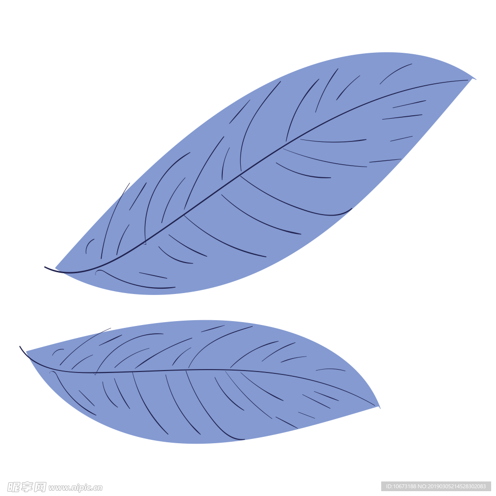 水彩植物图片