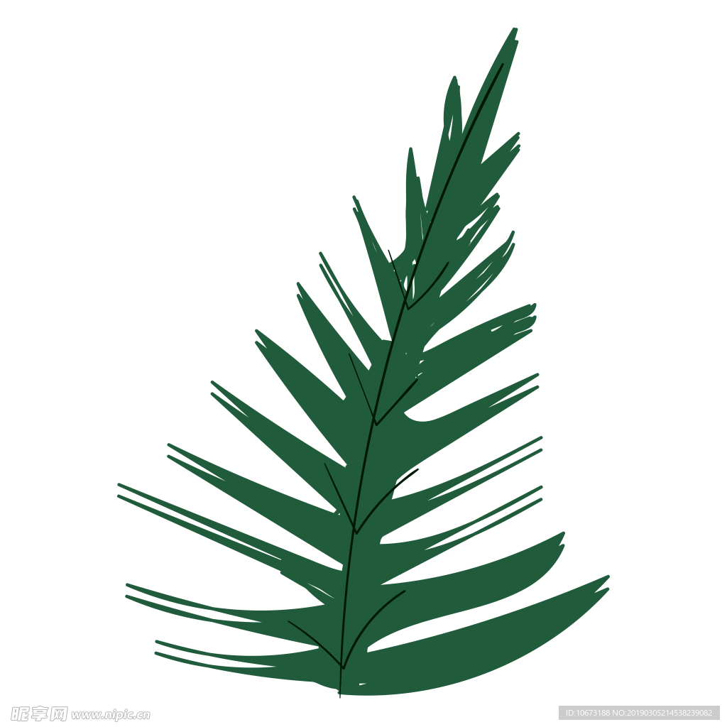 水彩植物图片
