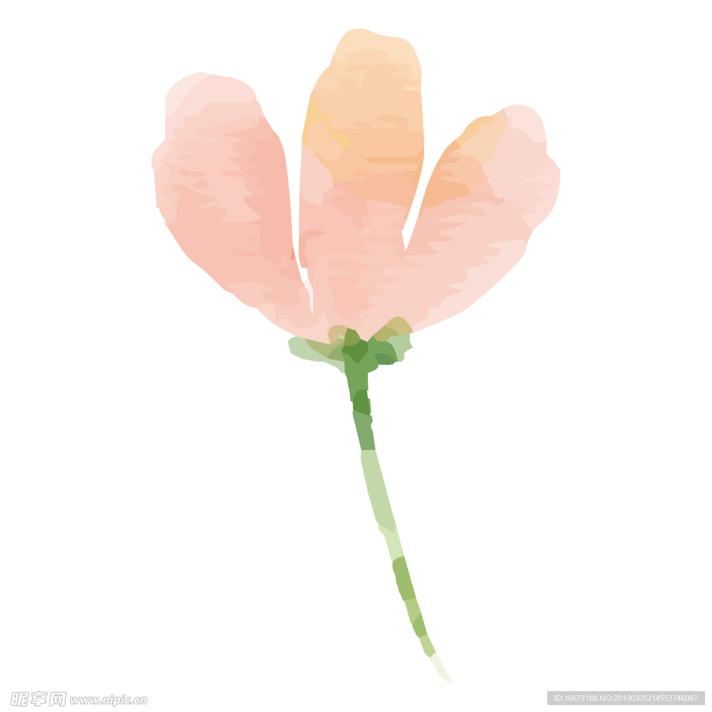 水彩植物图片