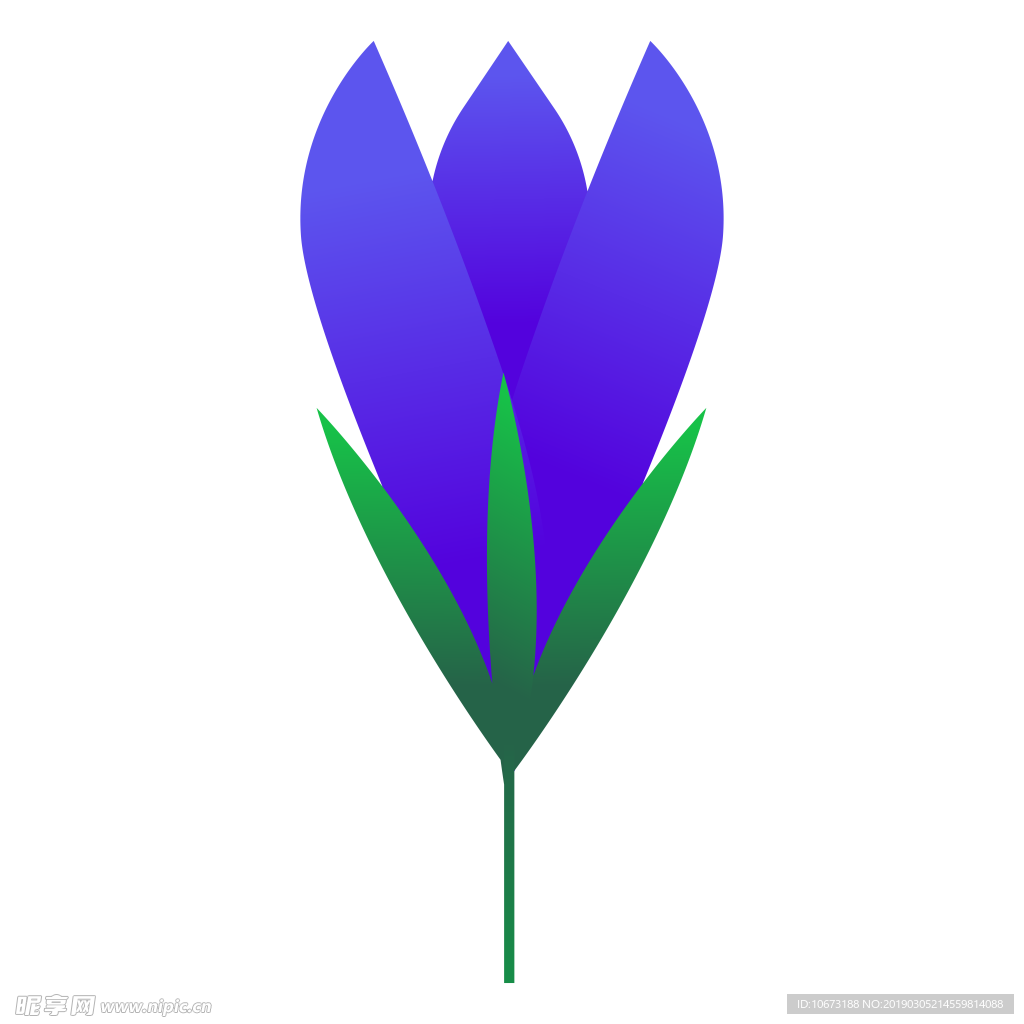 水彩植物图片