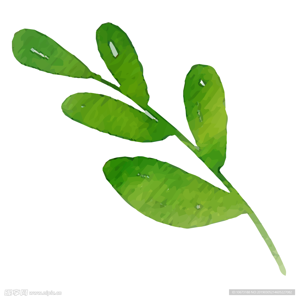 水彩植物图片