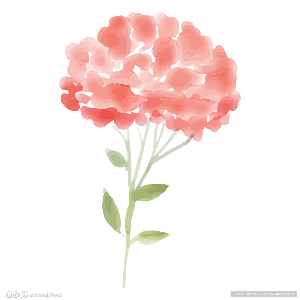 水彩植物图片