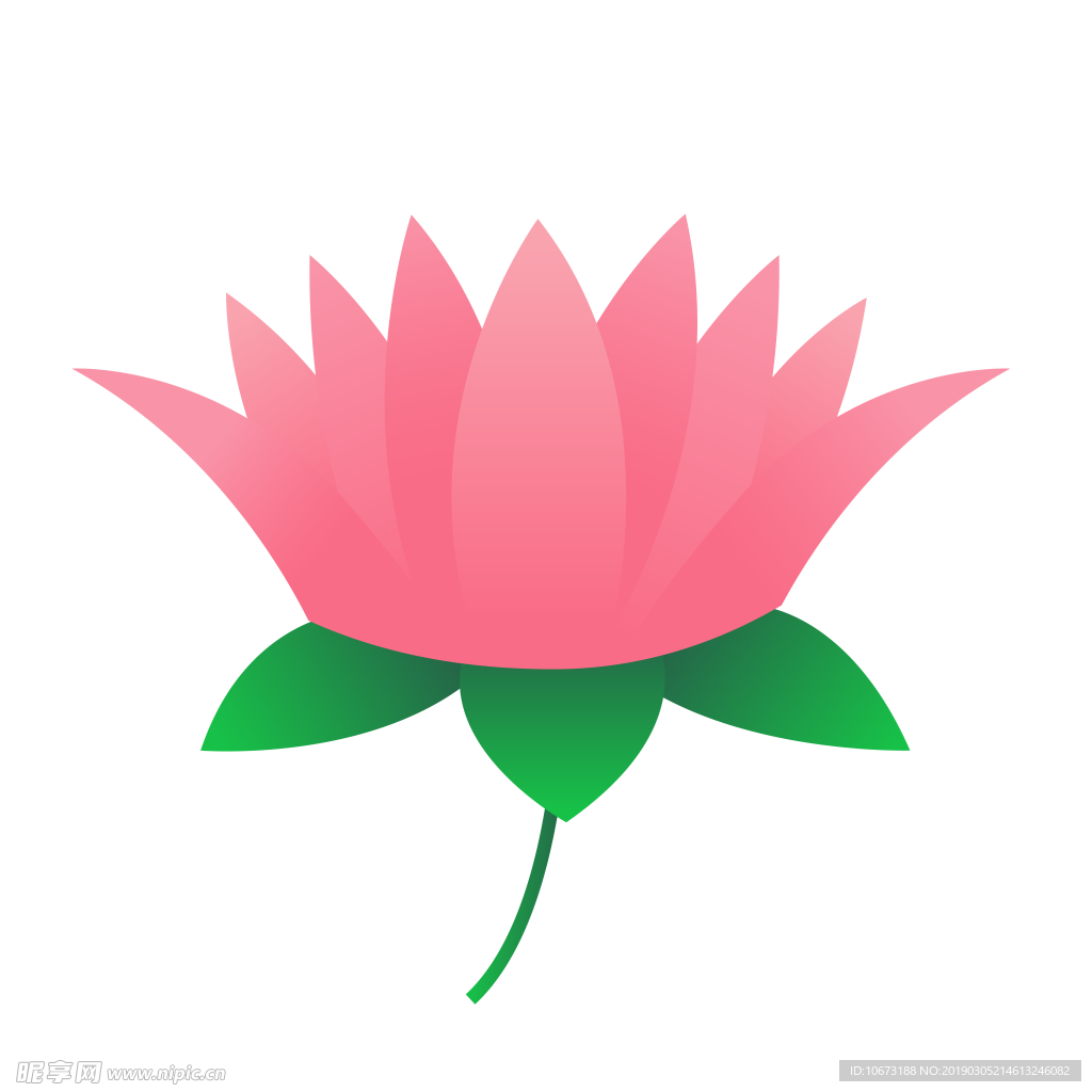 水彩植物图片