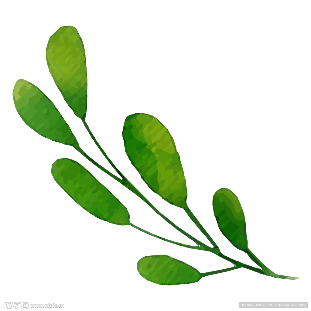水彩植物图片