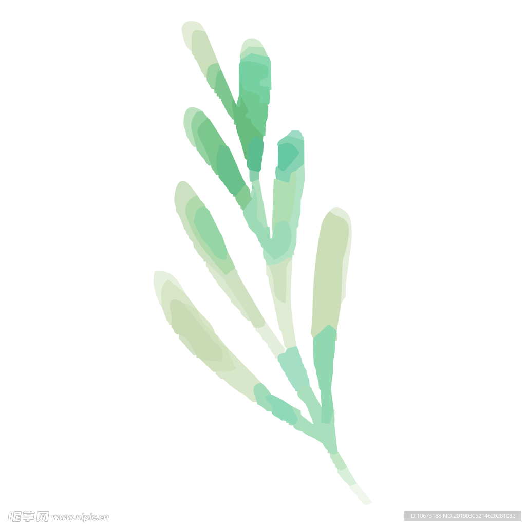 水彩植物图片