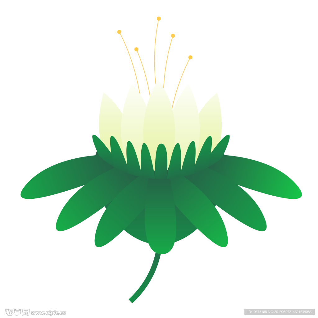 水彩植物图片