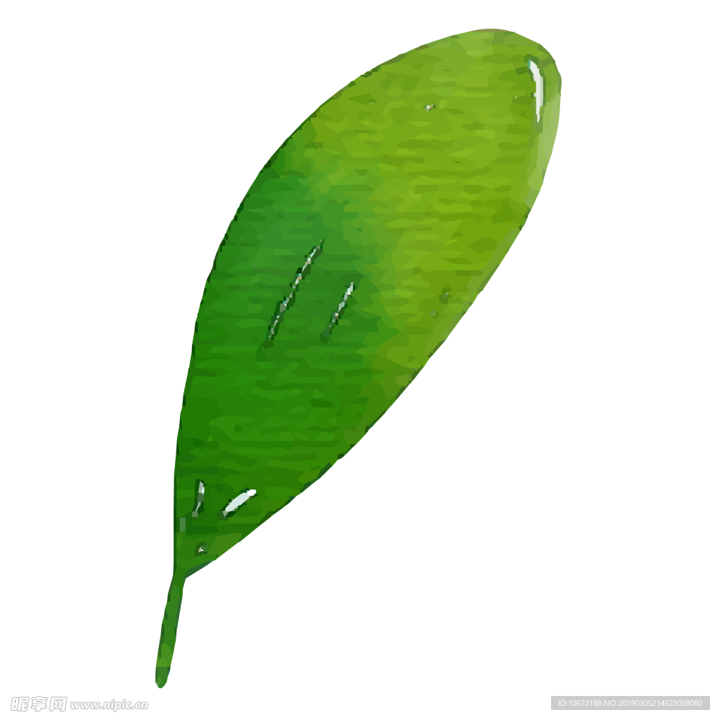 水彩植物图片