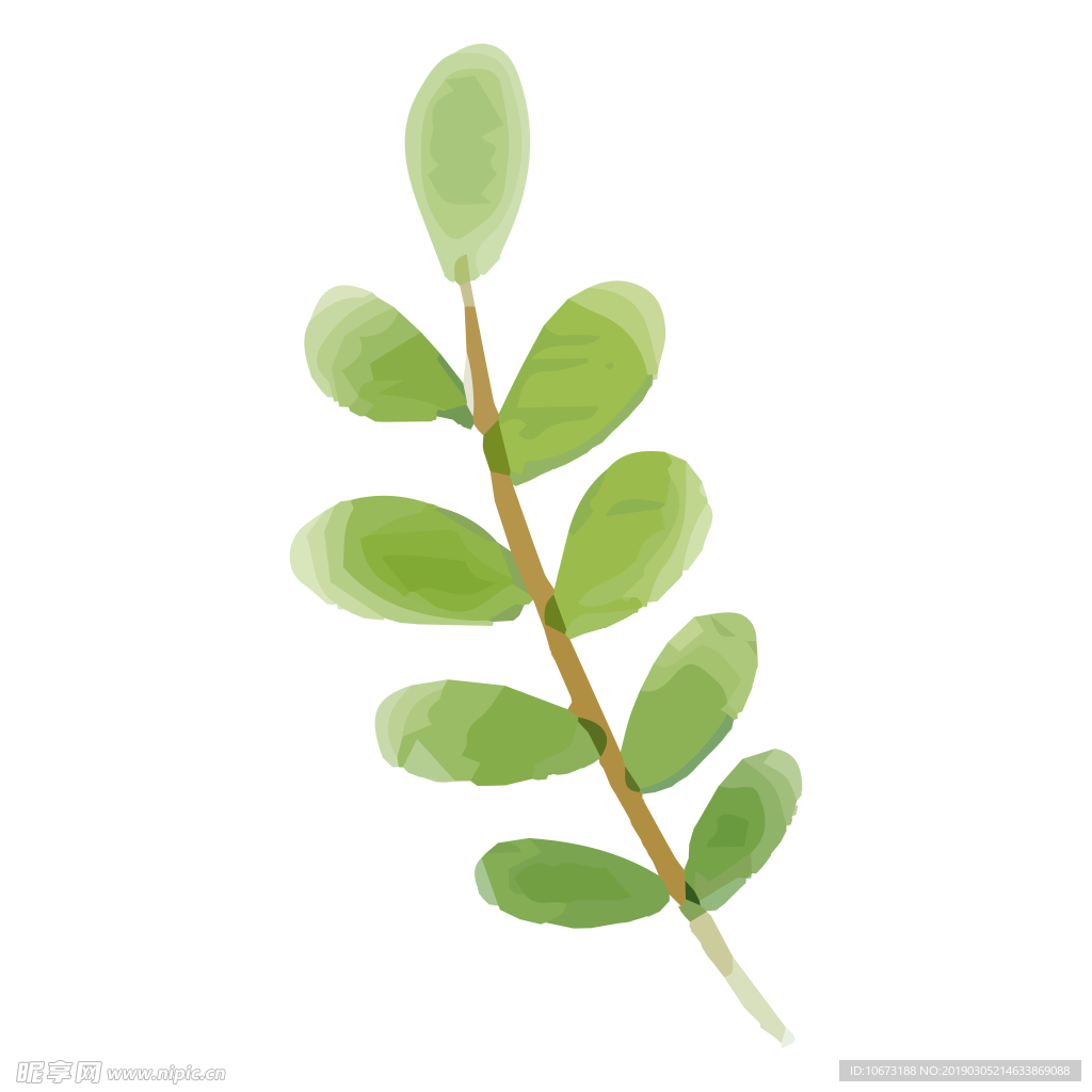 水彩植物图片