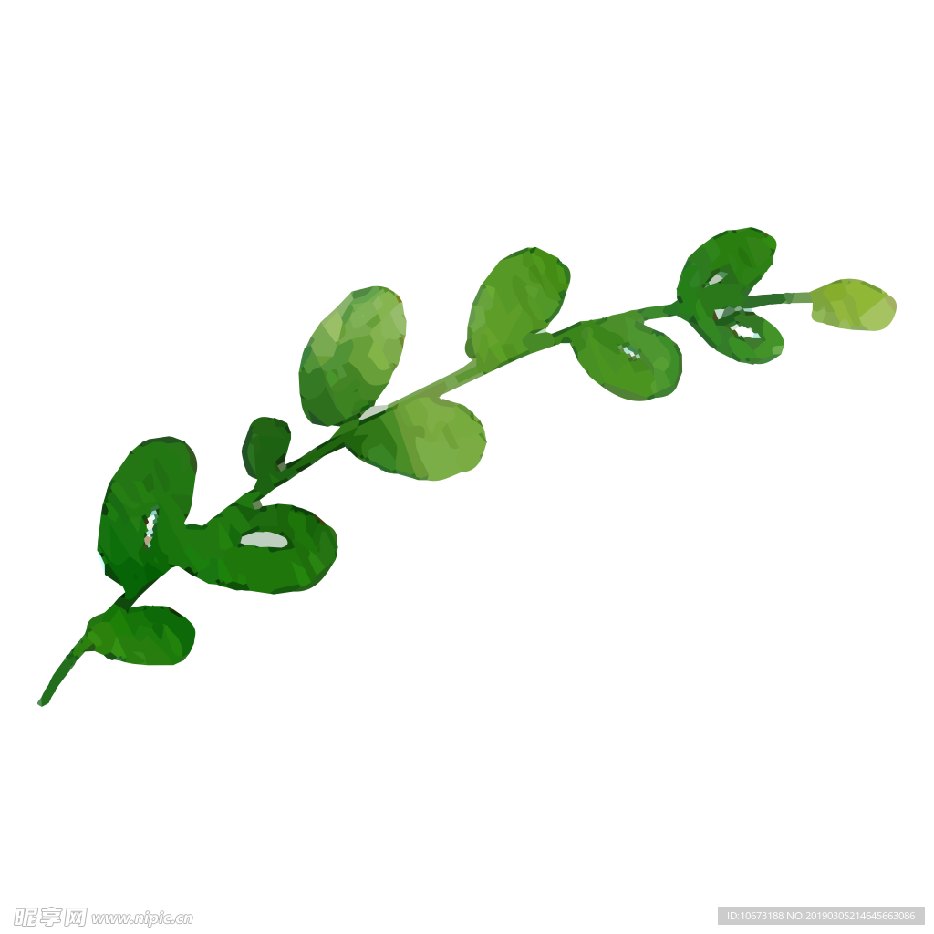 水彩植物图片