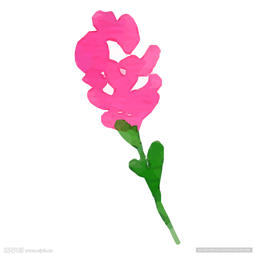 水彩植物图片