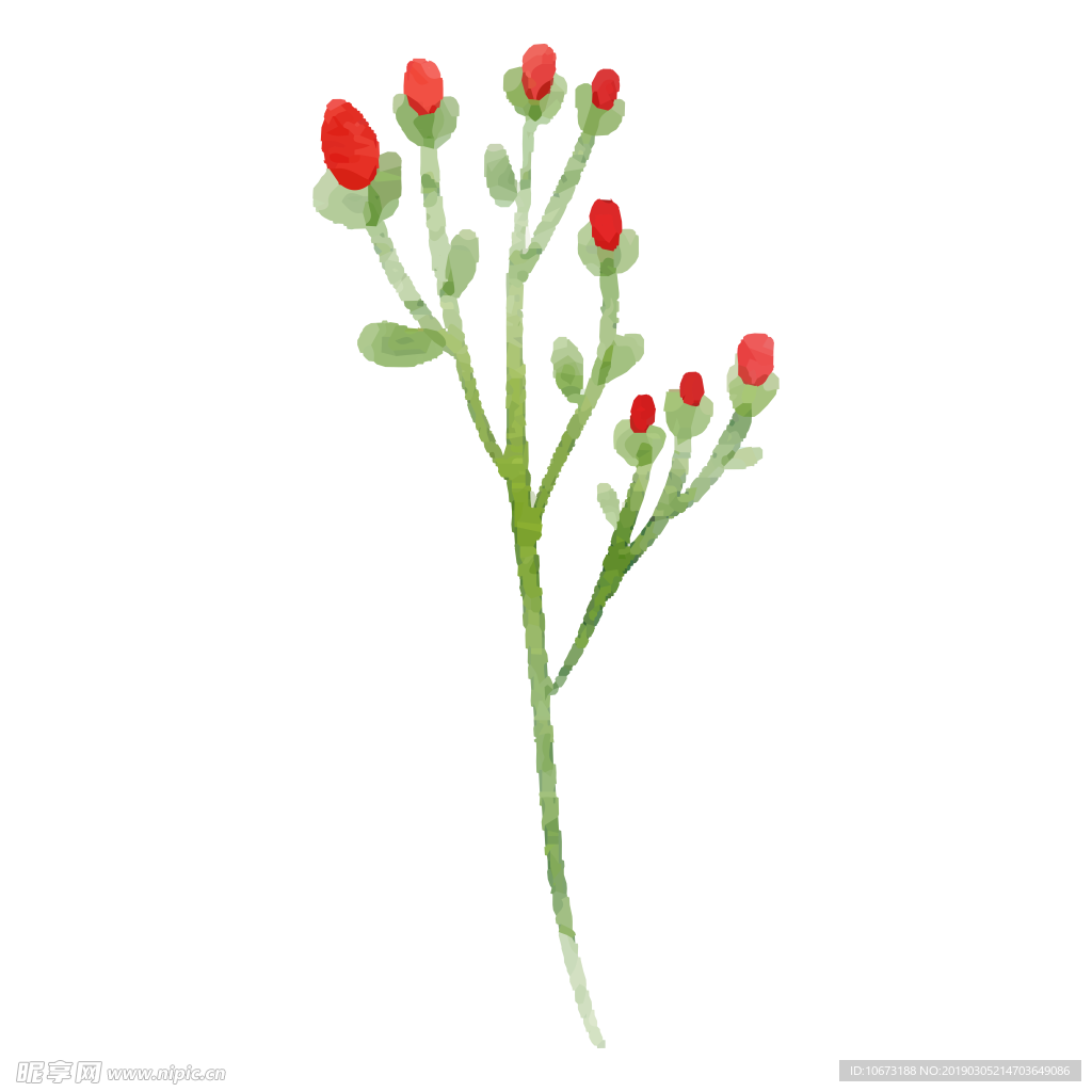 水彩植物图片