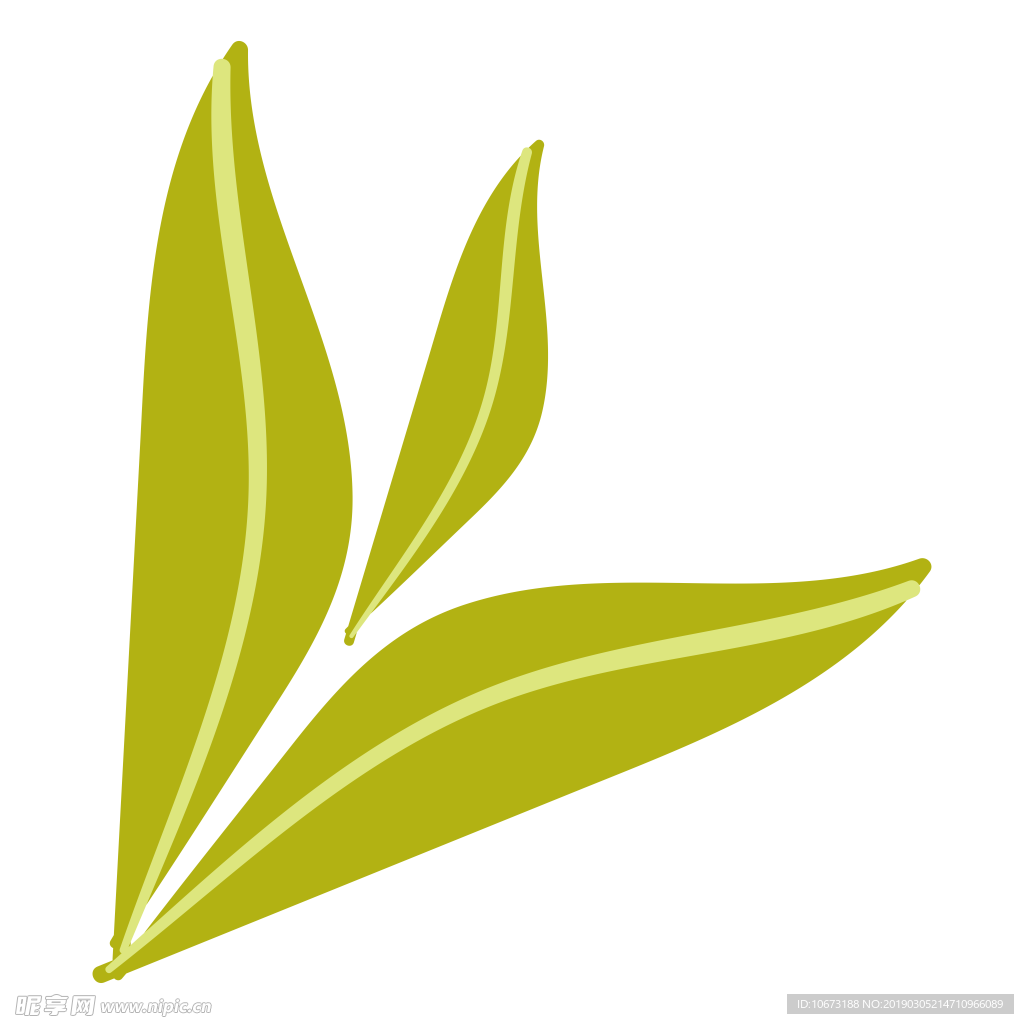 水彩植物图片