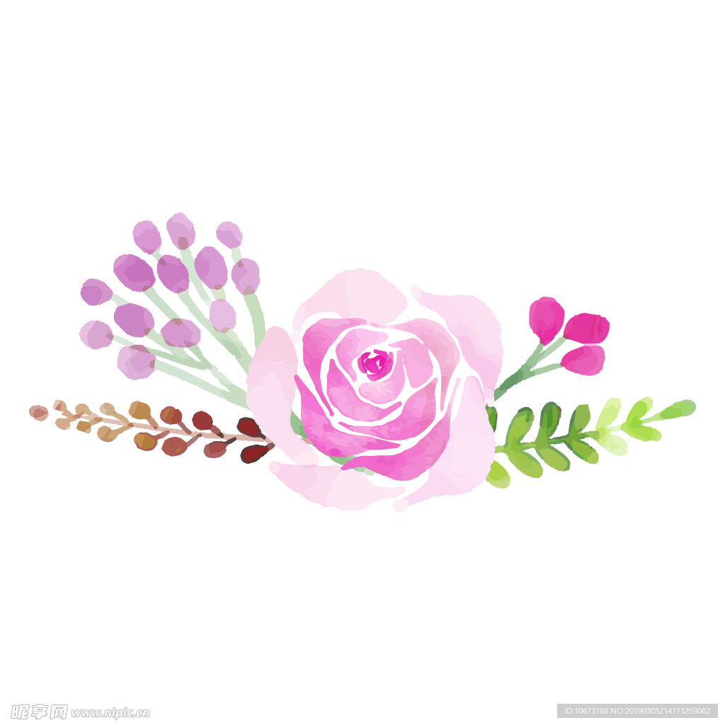 水彩植物图片