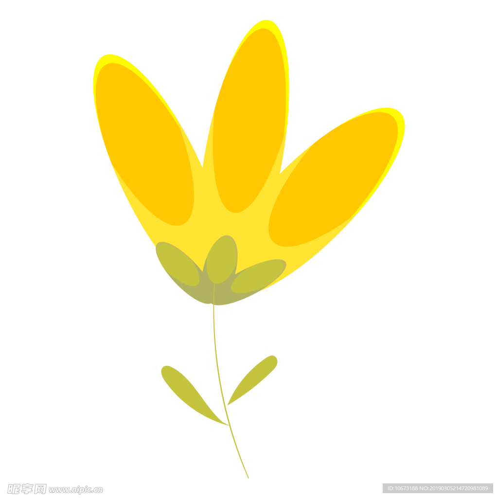 水彩植物图片