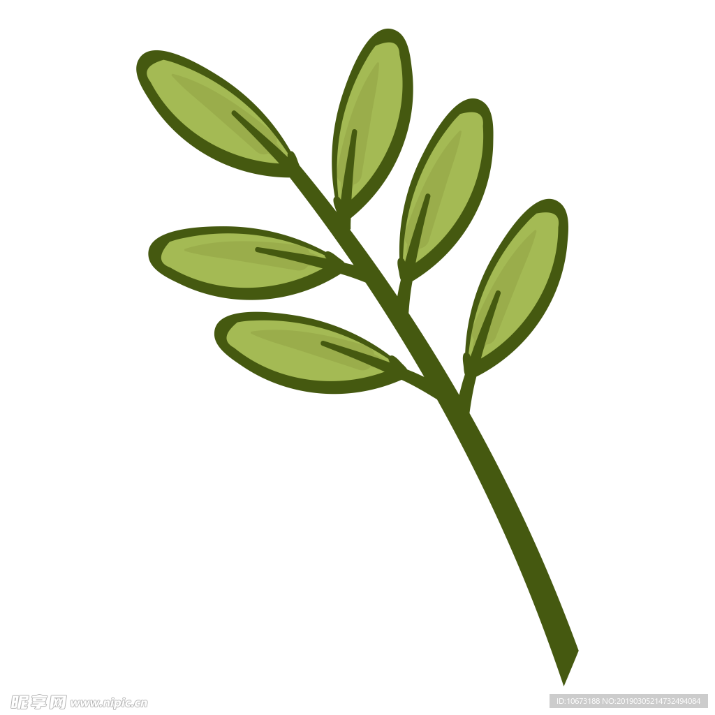 水彩植物图片