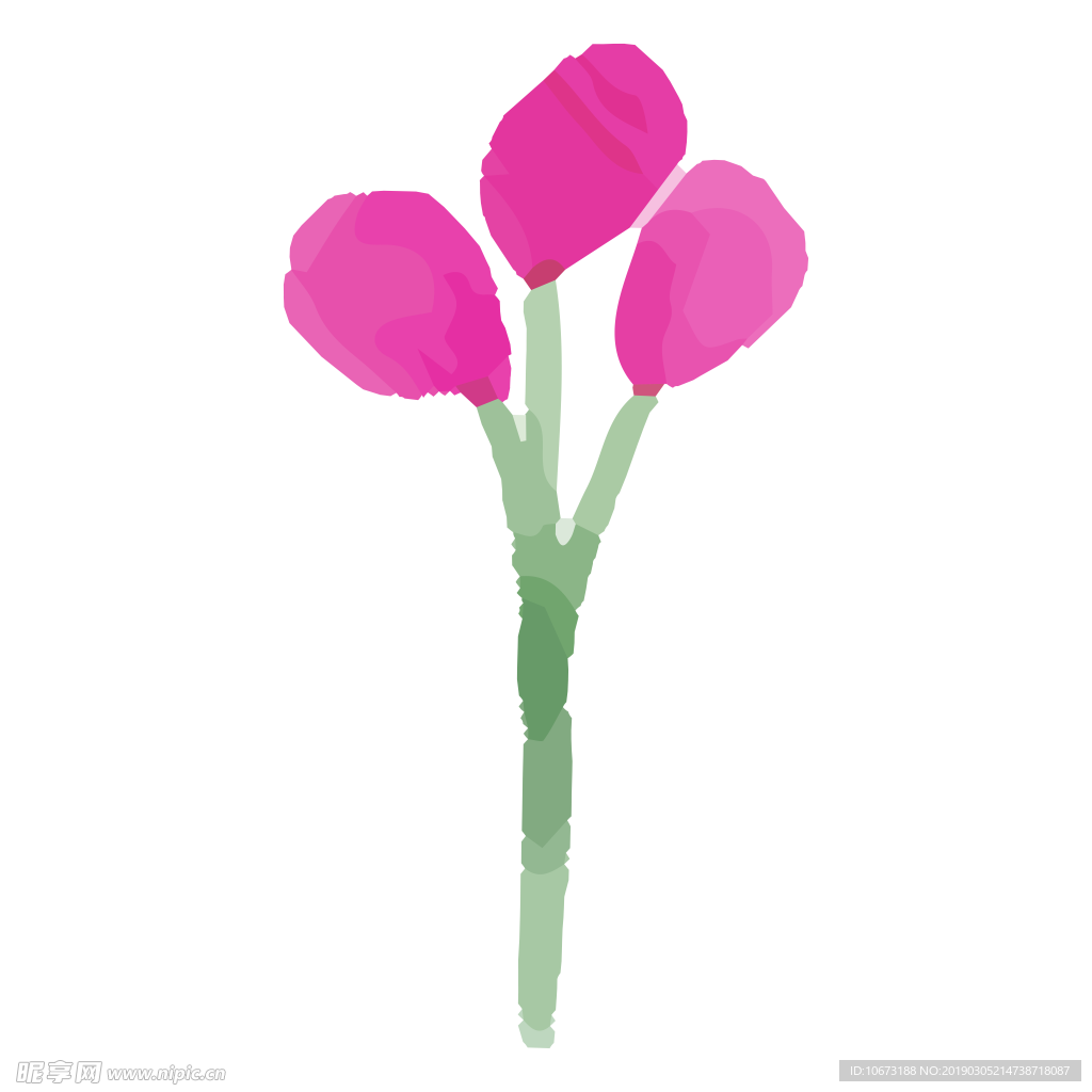 水彩植物图片