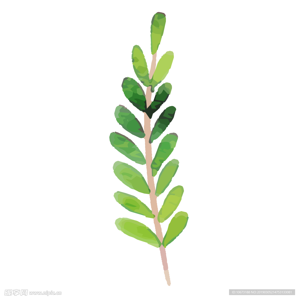 水彩植物图片
