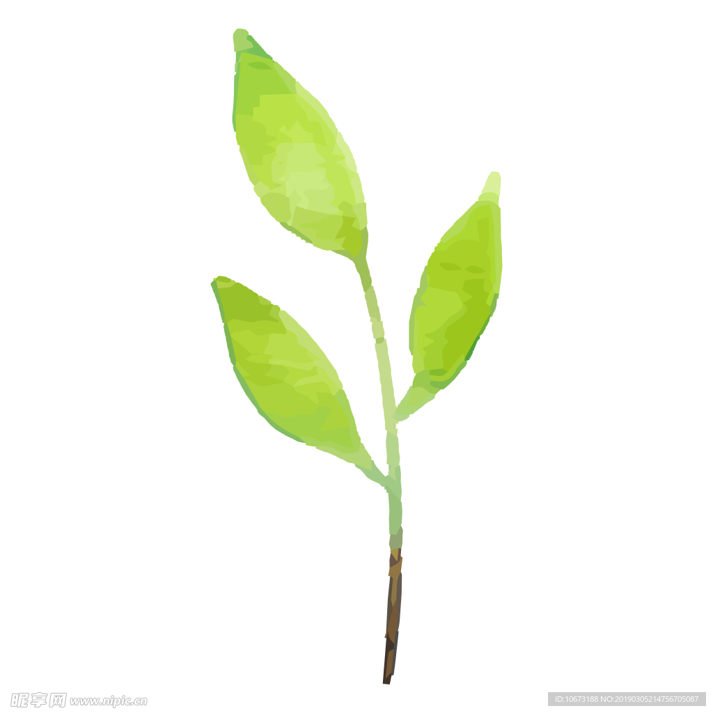 水彩植物图片