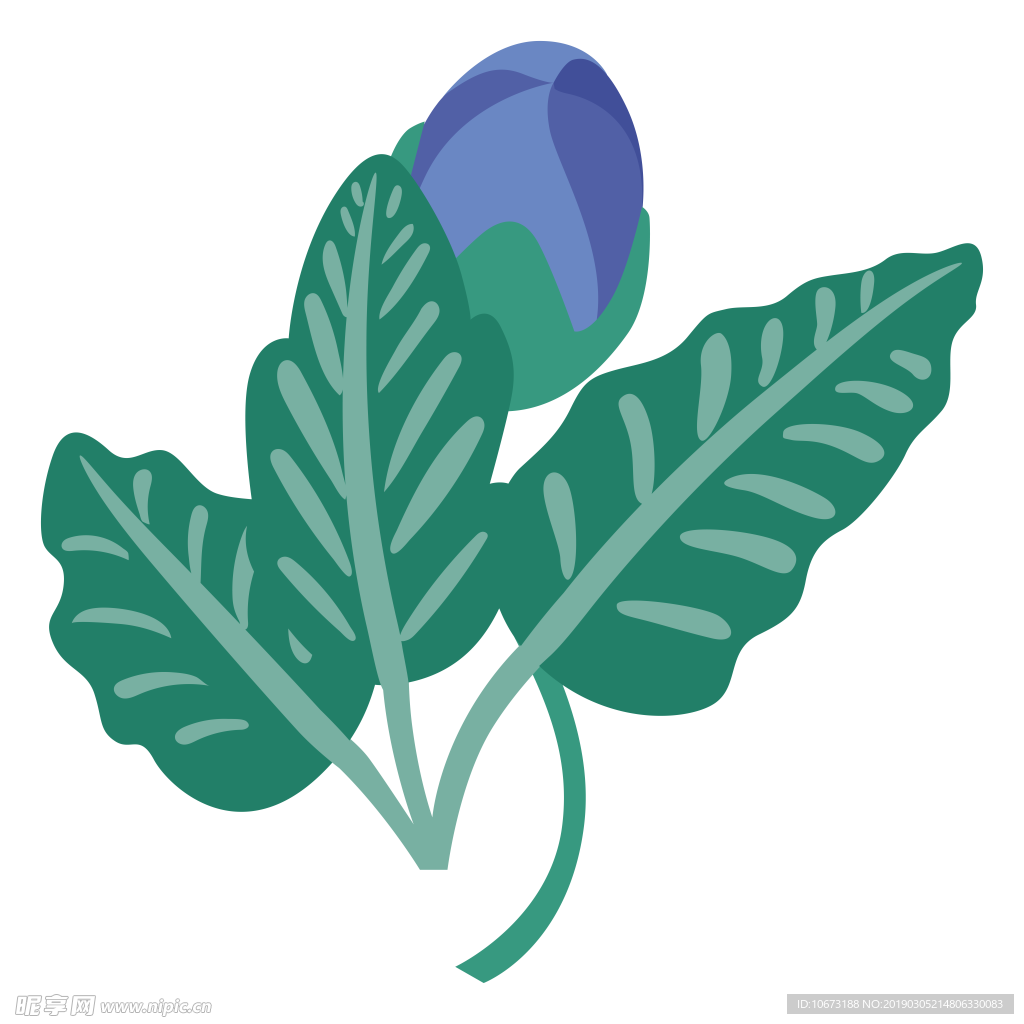 水彩植物图片