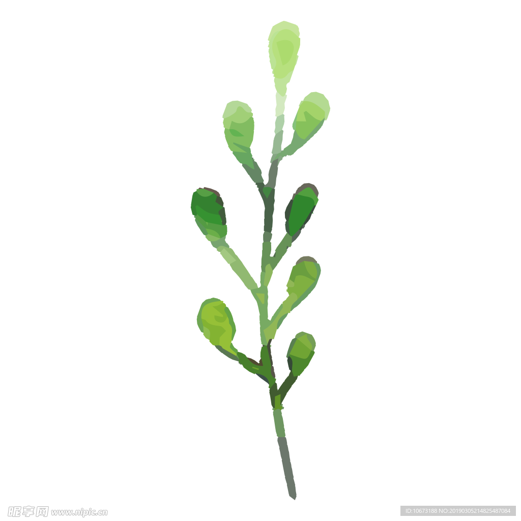 水彩植物图片