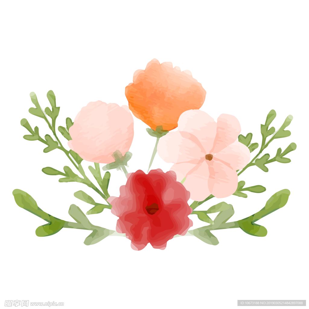 水彩植物图片