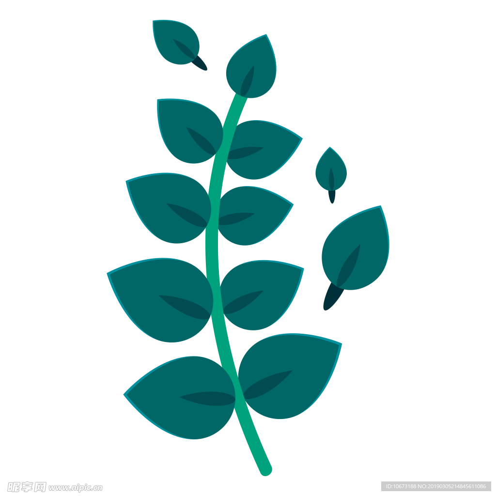 水彩植物图片