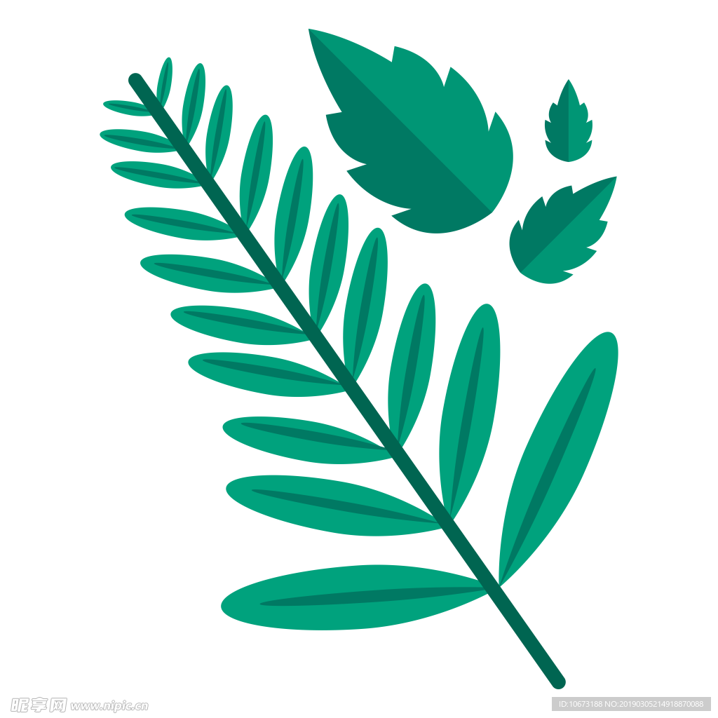 水彩植物图片