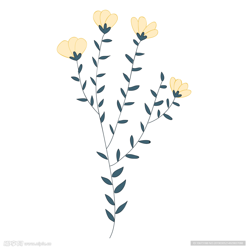 水彩植物图片