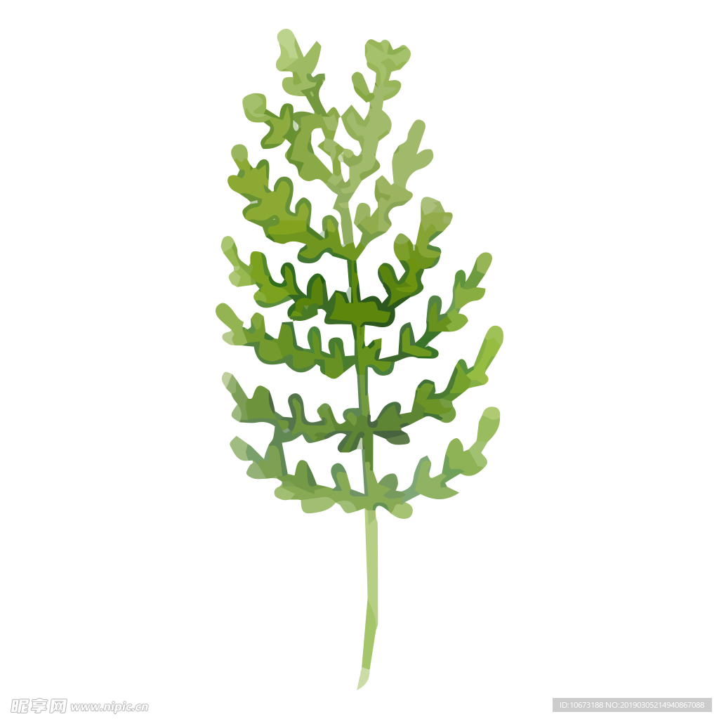 水彩植物图片