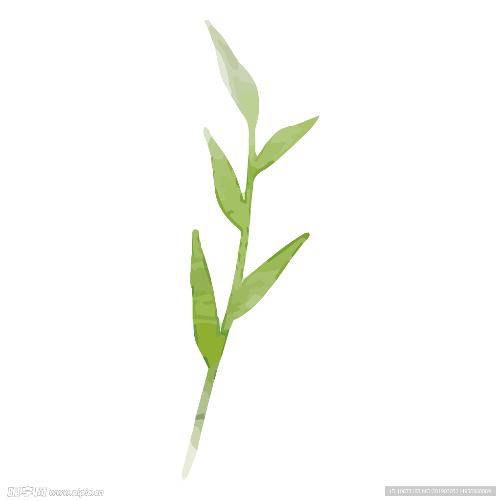 水彩植物图片