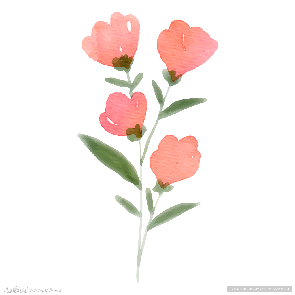 水彩植物图片