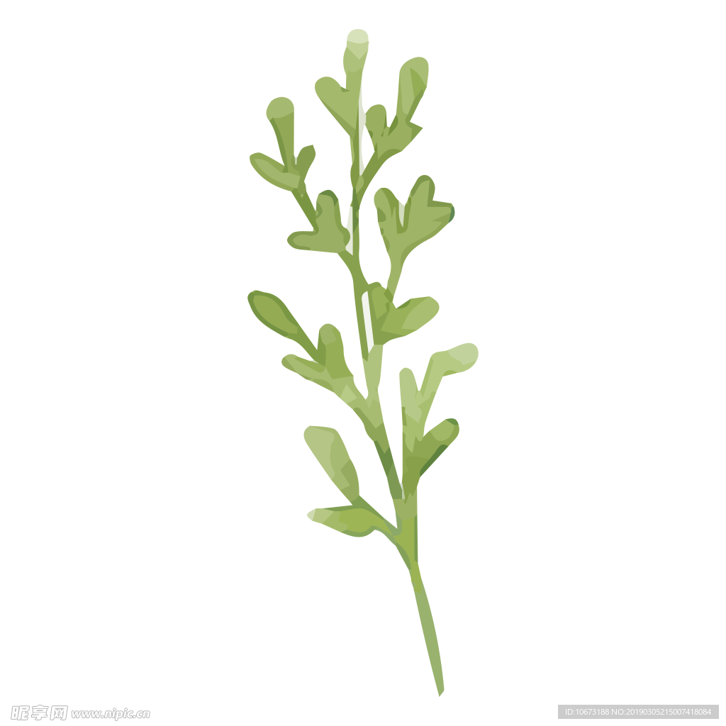 水彩植物图片