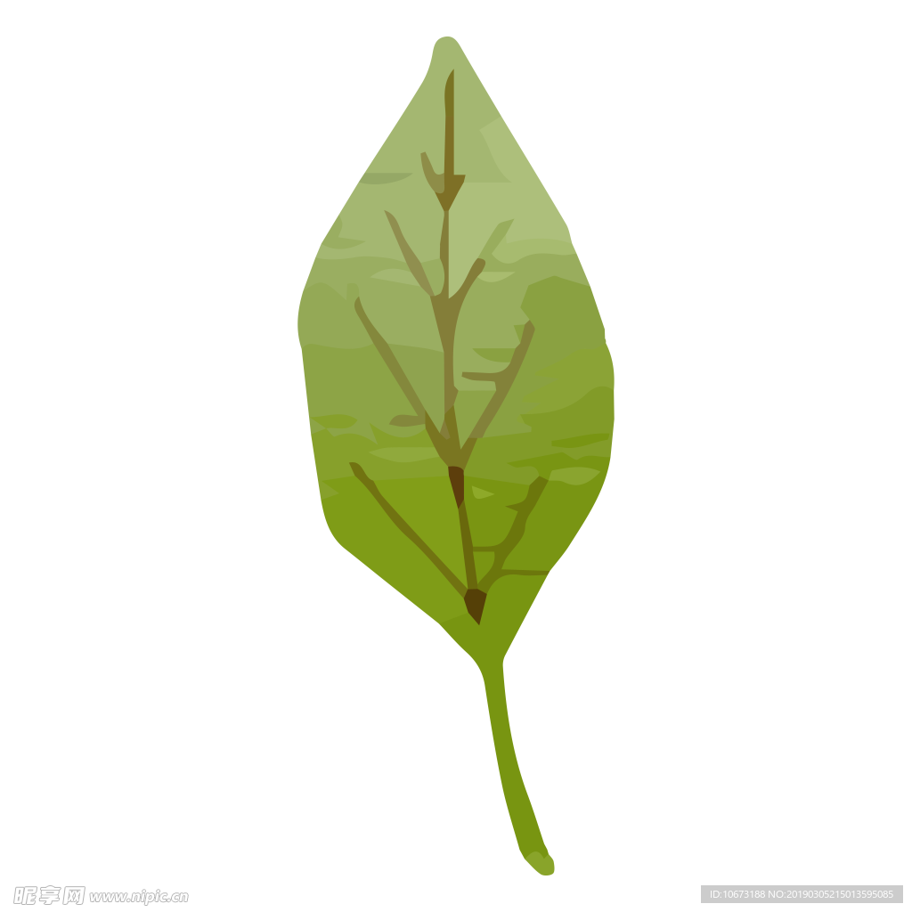 水彩植物图片